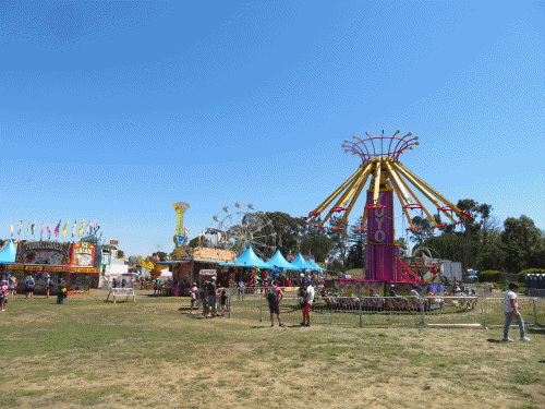 Marin County Fair【San Franciscoのひとりごと...３】